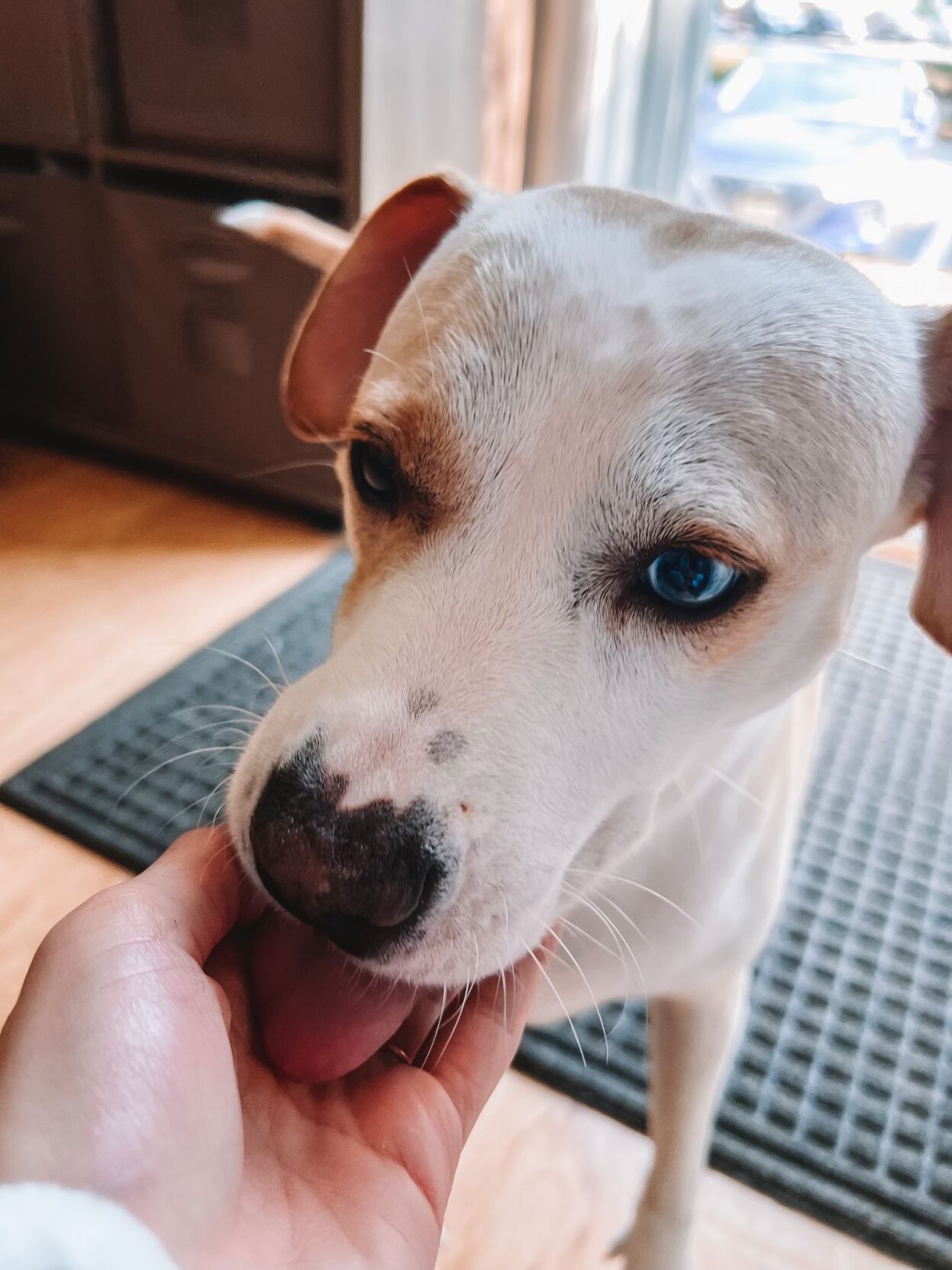 Coco.JPG